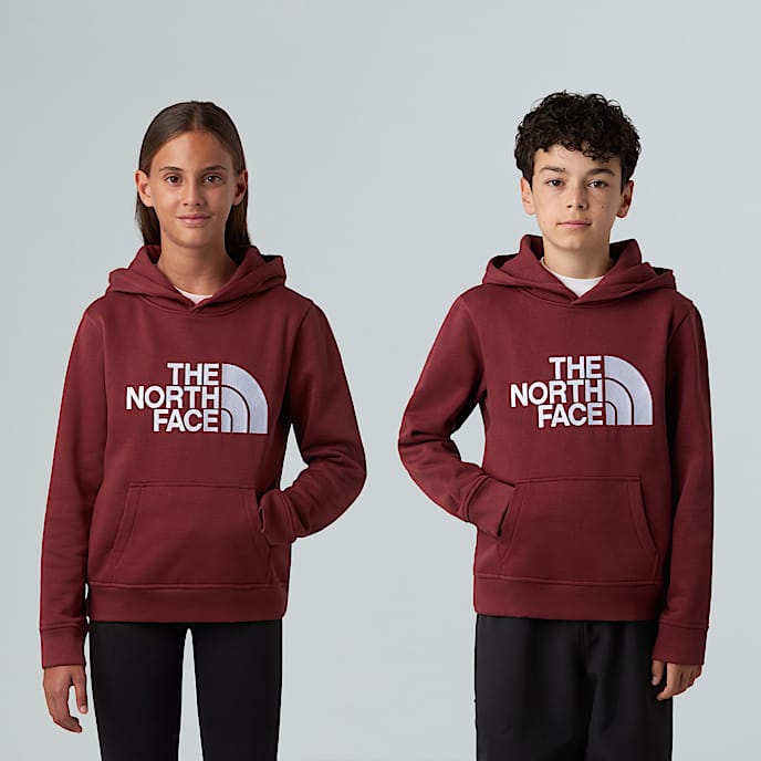Drew Peak Pullover Hoodie Junior TNF Sumac HERO