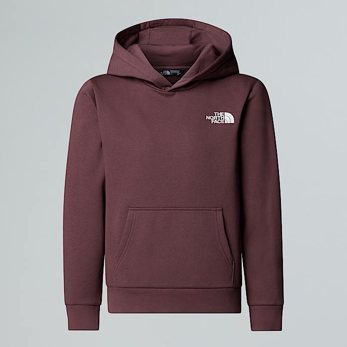 Teens Simple Dome Hoodie TNF Tawny Quartz HERO