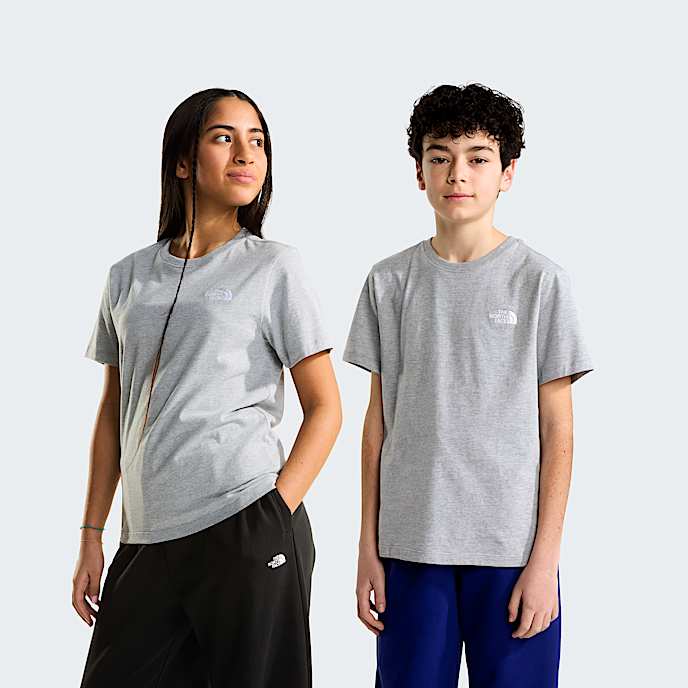 Modzieowy Tshirt Evolution Simple Dome TNF TNF Pale Grey Heather HERO