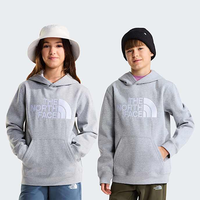 Sweat  capuche TNF Essential Drew Peak pour enfant TNF TNF Pale Grey Heather HERO