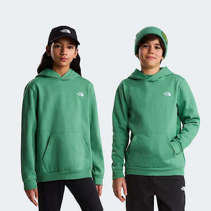 Teens Evolution Simple Dome Pullover Hoodie TNF Dimmed Algae HERO