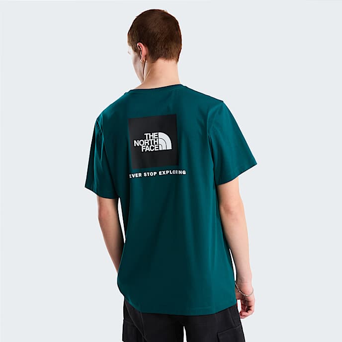 Mski Tshirt o regularnym kroju Evolution NSE Box TNF Pacific Teal HERO