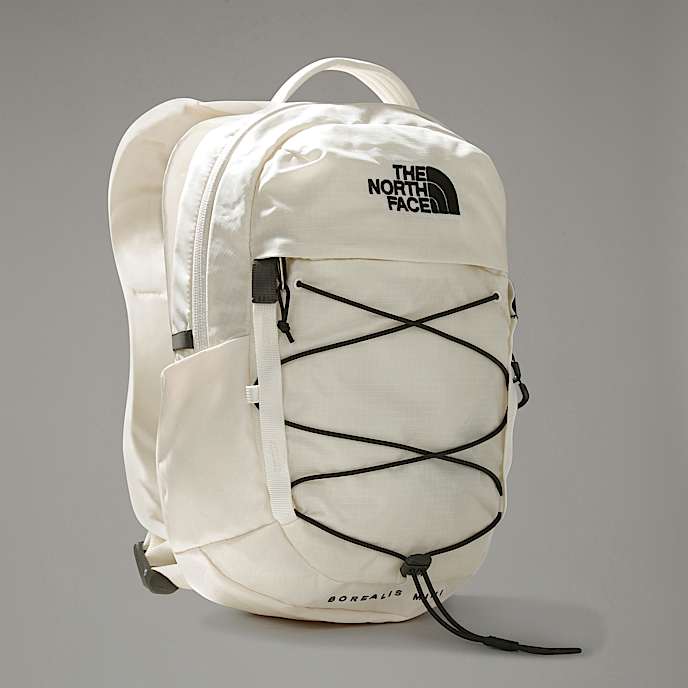Minimochila Borealis - 1