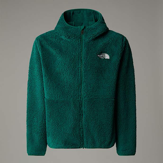 North face hoodie kind 2025