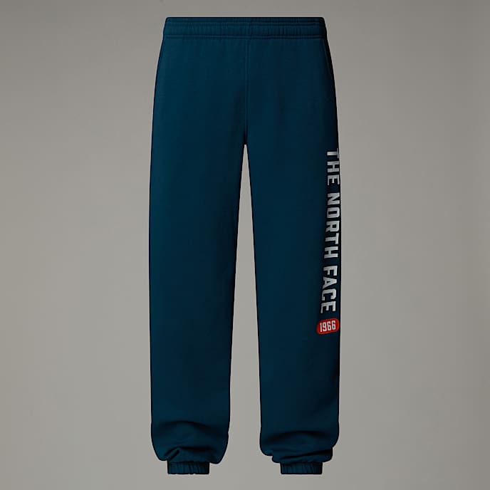 North face trousers mens sale shop