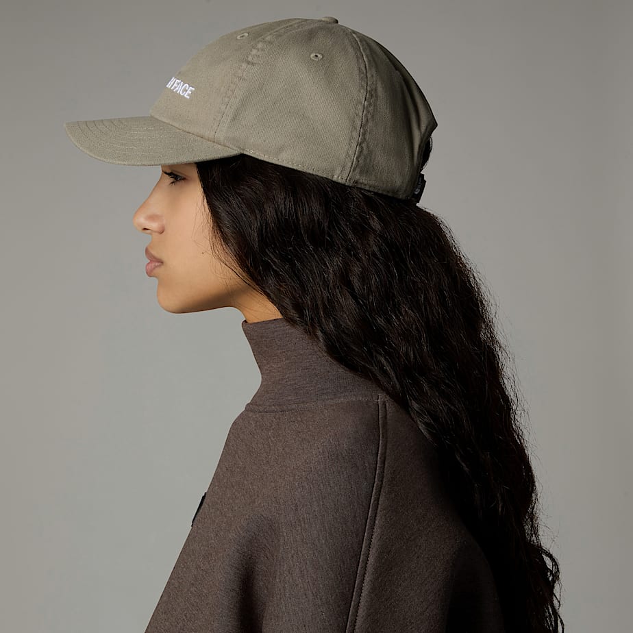 Roomy Norm Cap TNF ALT3