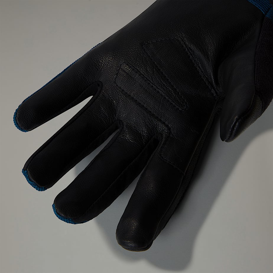 Rkawice Amp TNF ALT2