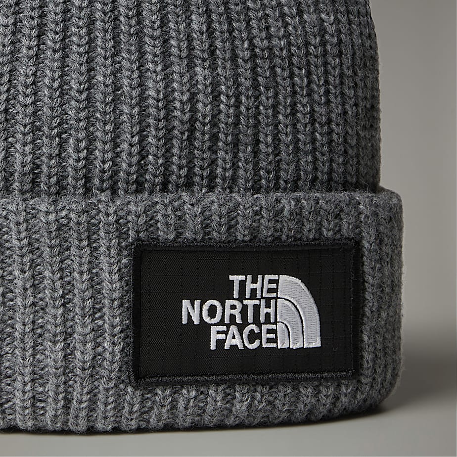Salty Lined Beanie TNF ALT2