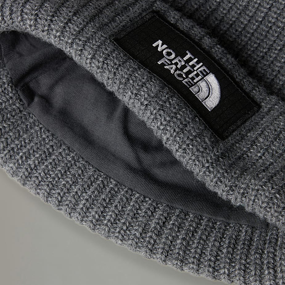 Salty Lined Beanie TNF ALT3