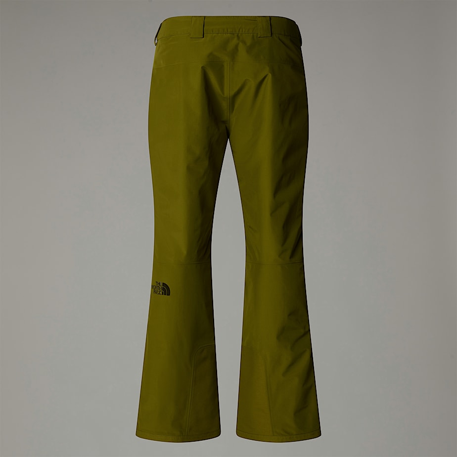 Descendit Hose fr Herren TNF ALT10