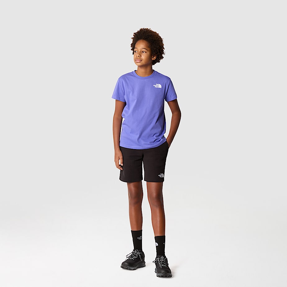 Boys NSE Box TShirt TNF ALT2