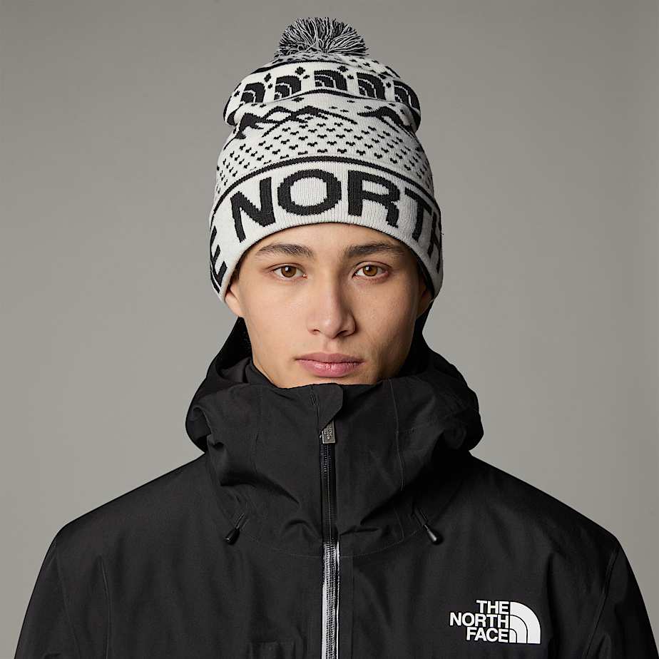 Tukeskibeanie TNF ALT1