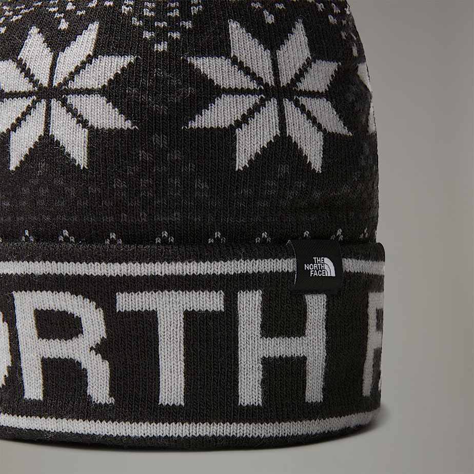 Kids Ski Tuke Beanie TNF ALT2