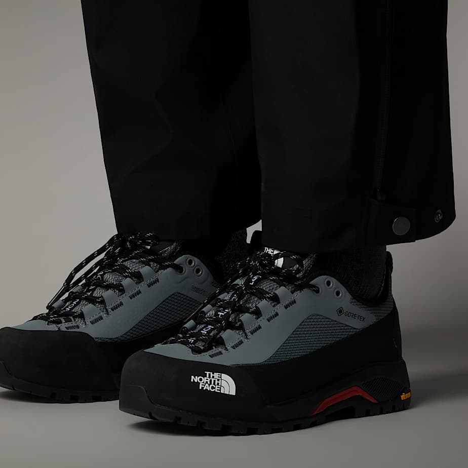 Verto GORETEX Alpine Shoes W TNF ALT2