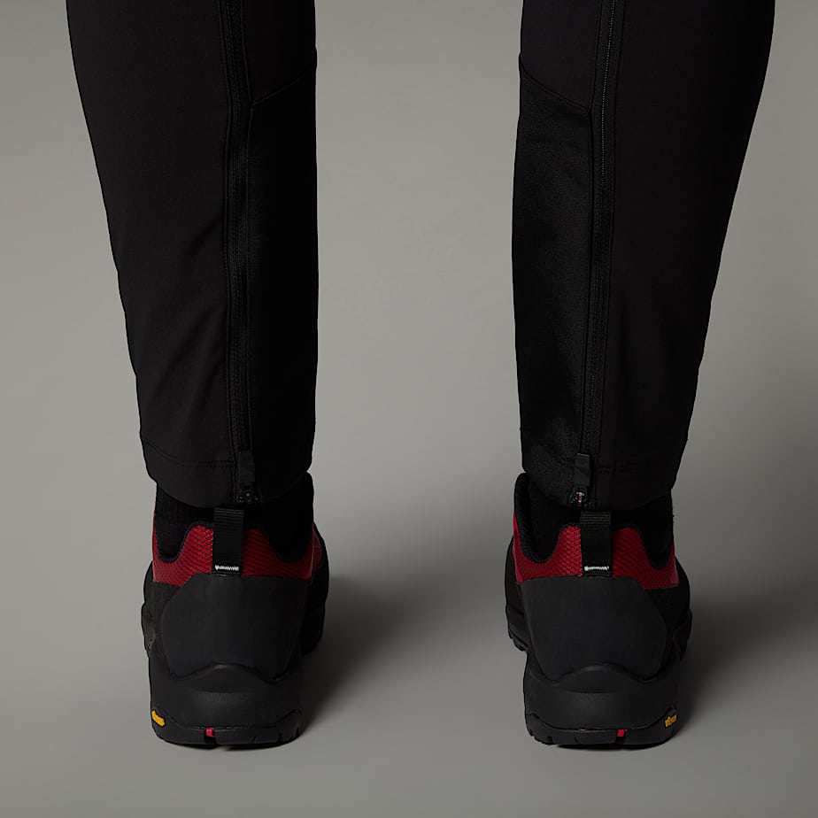 Mens Verto GORETEX Alpine Shoes TNF ALT4