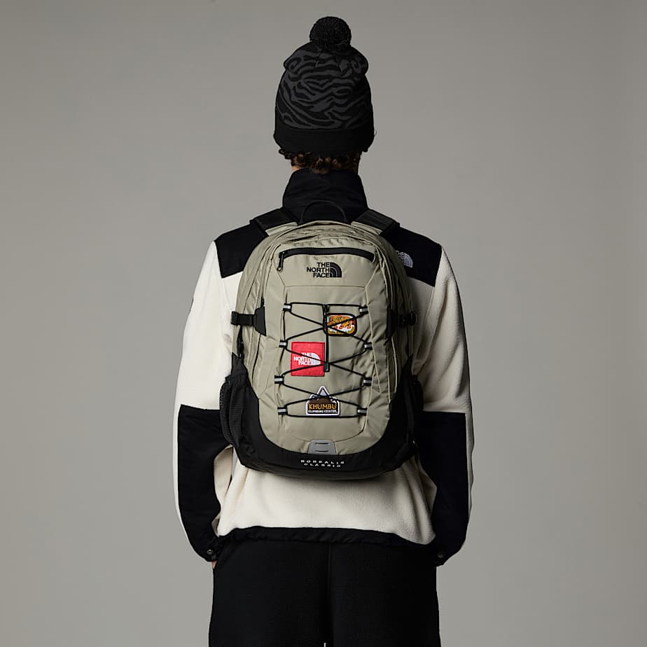 Backpack Classic Borealis TNF ALT1