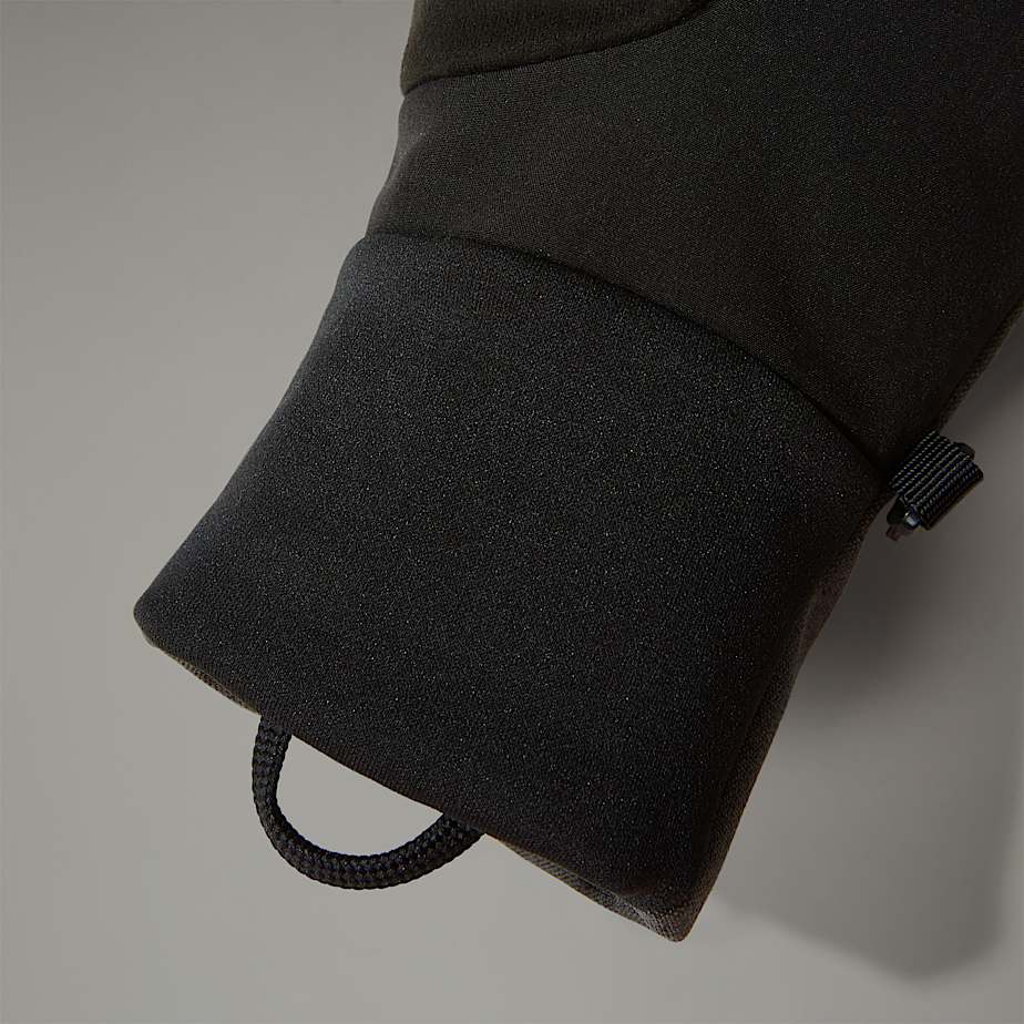 Apex Etip Insulated Gloves W TNF ALT2