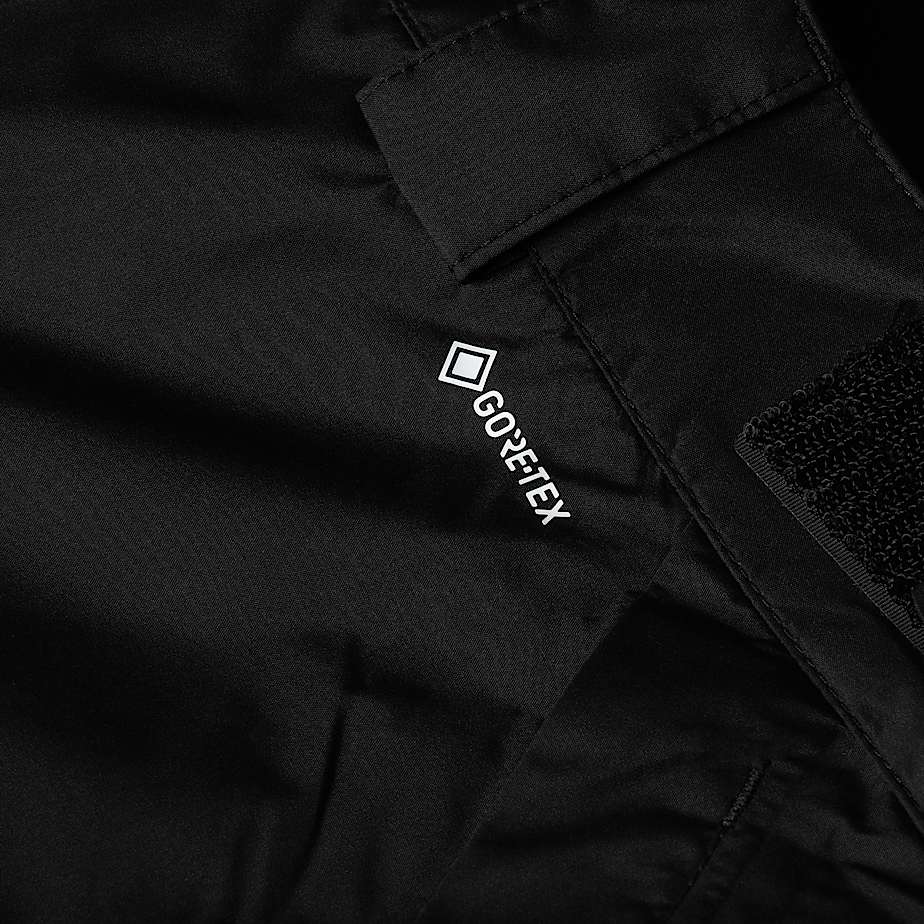 Mens Dawnstrike GORETEX Trousers TNF ALT18