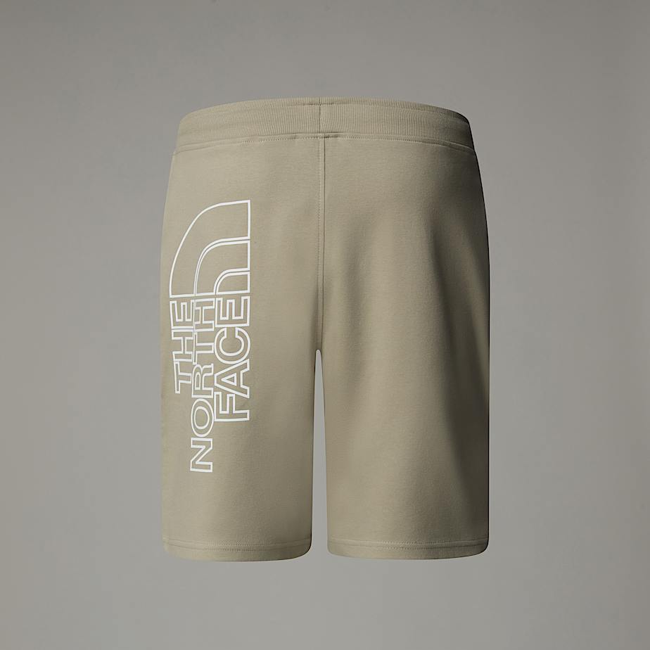 Graphic Light Shorts fr Herren TNF ALT1