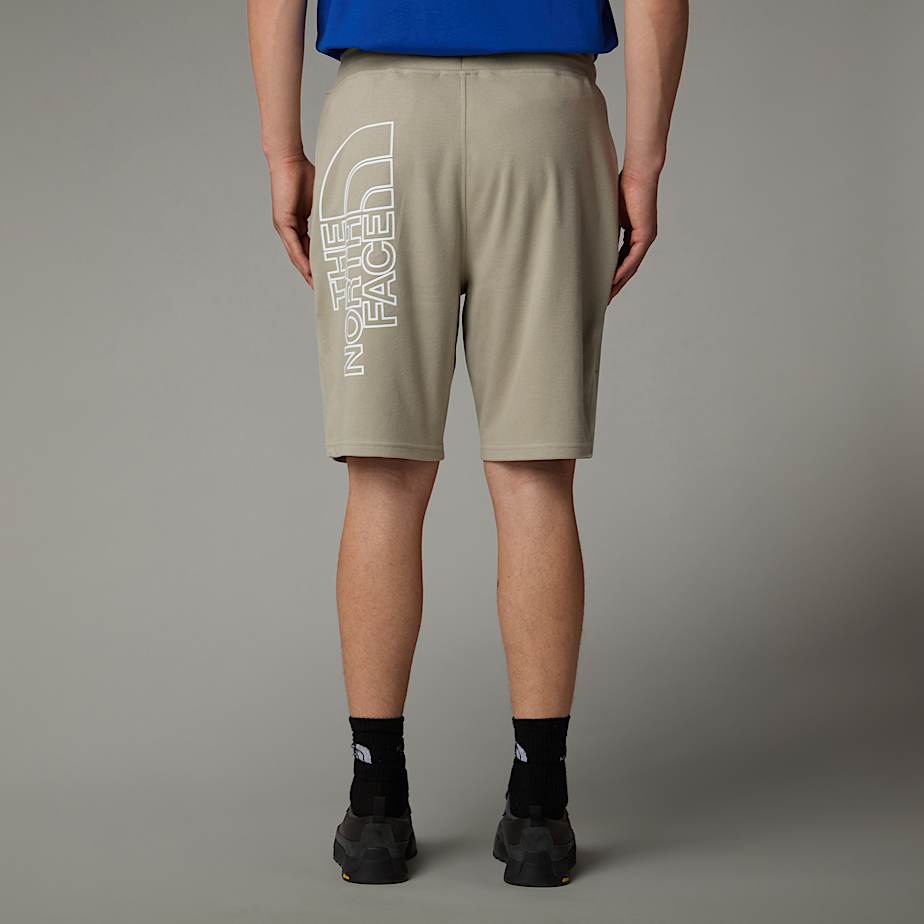 Graphic Light Shorts fr Herren TNF ALT5