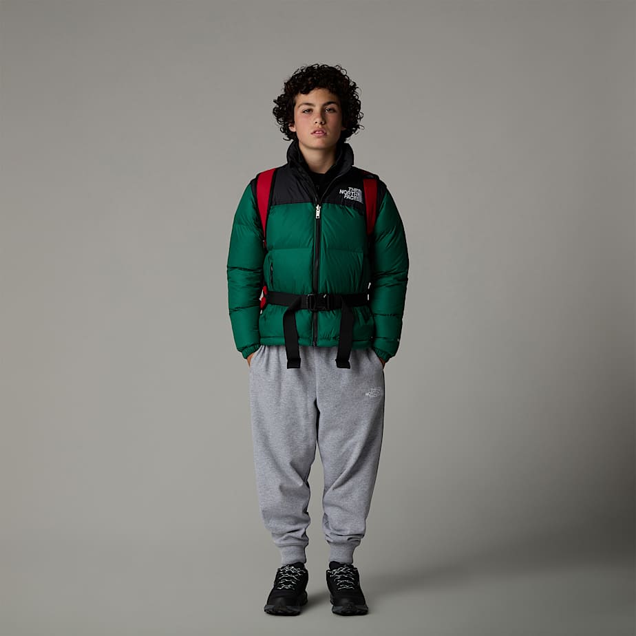 Modzieowa kurtka 1996 Retro Nuptse TNF ALT3