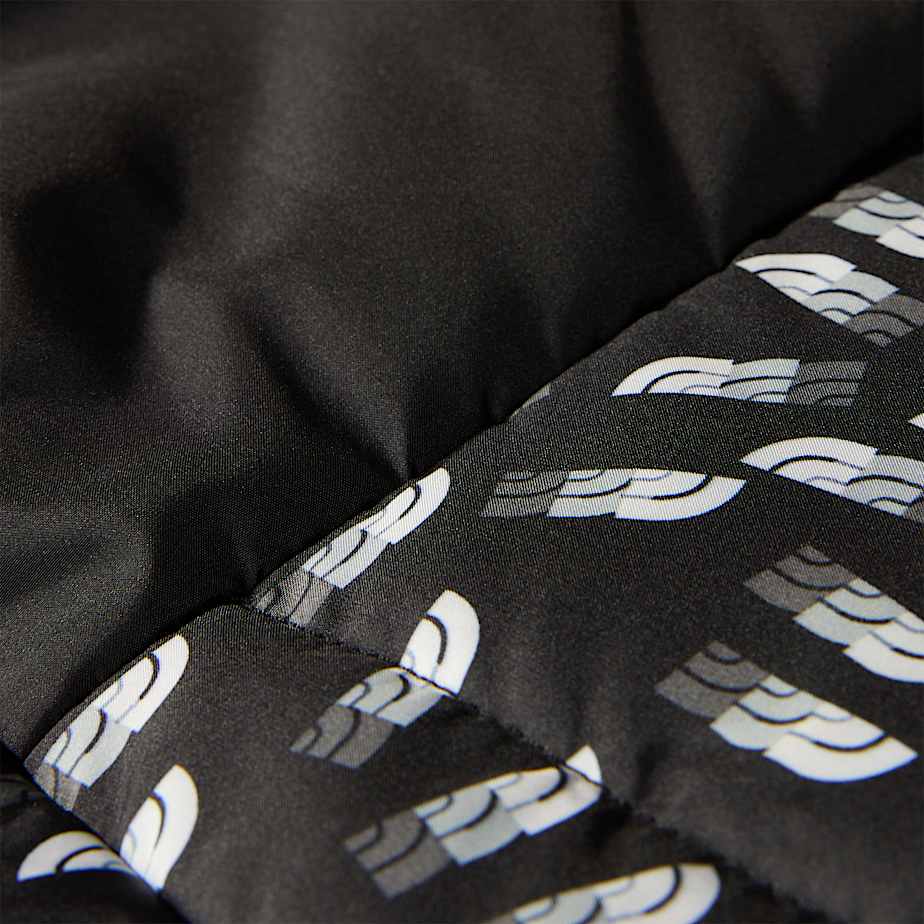 Boys Reversible Shasta FullZip Hooded Jacket TNF ALT18