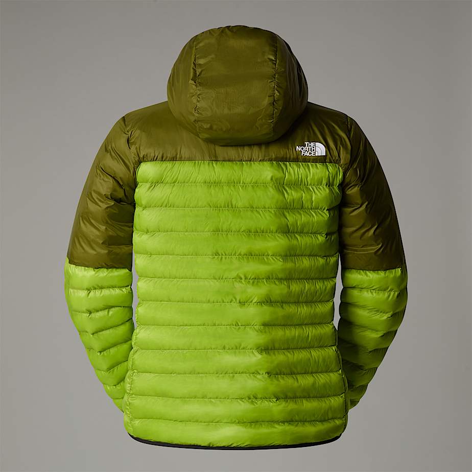 Mens Terra Peak Hooded Jacket TNF ALT1