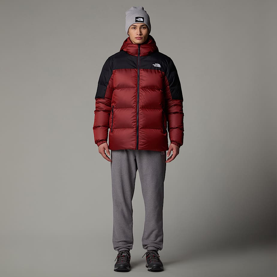 Mens Diablo Down 20 Hooded Jacket TNF ALT3