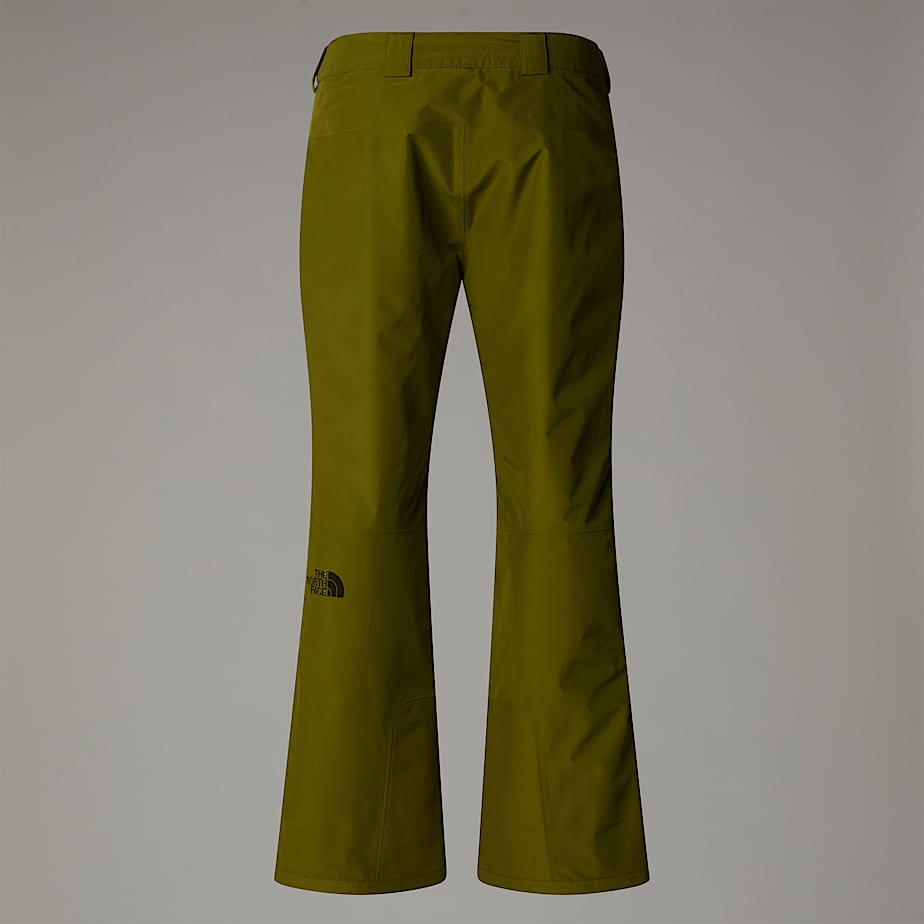 Descendit Hose fr Herren TNF ALT1