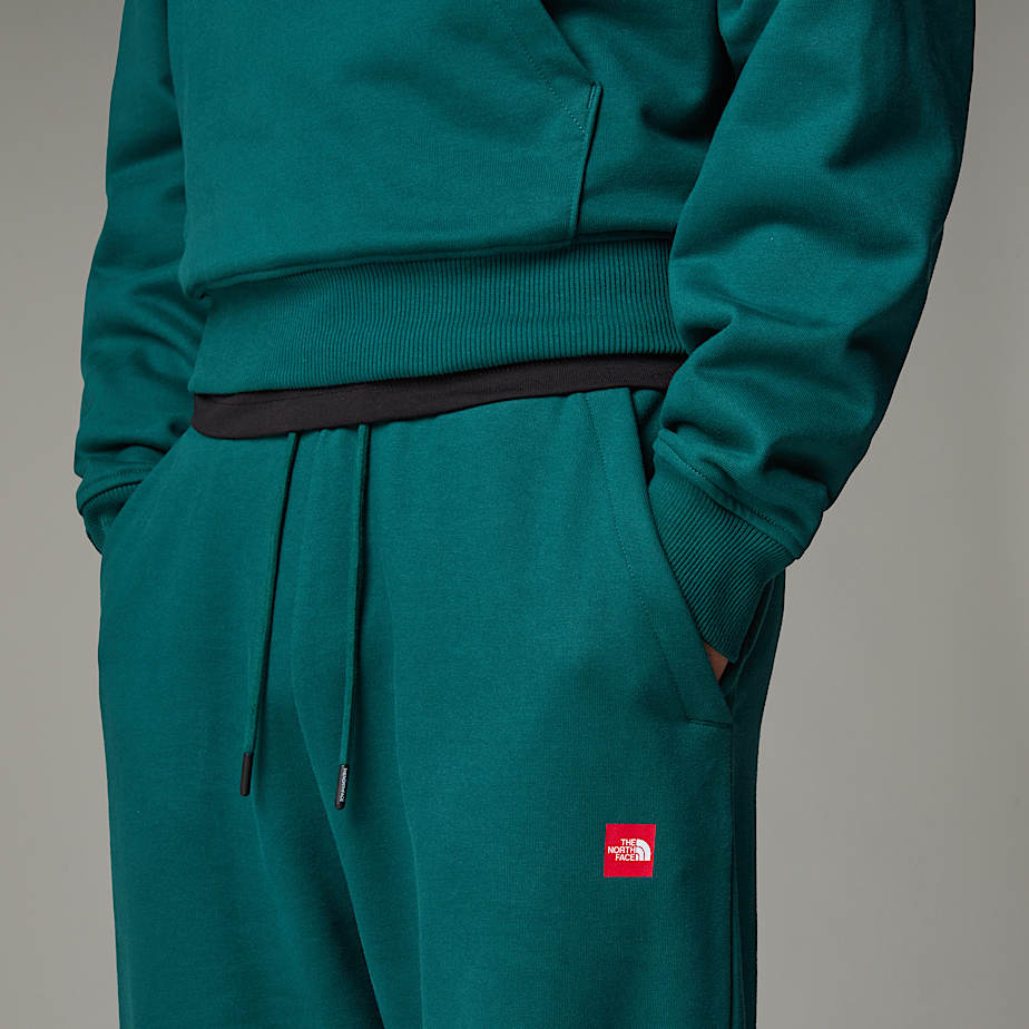 Relaxed Joggers AXYS TNF ALT6