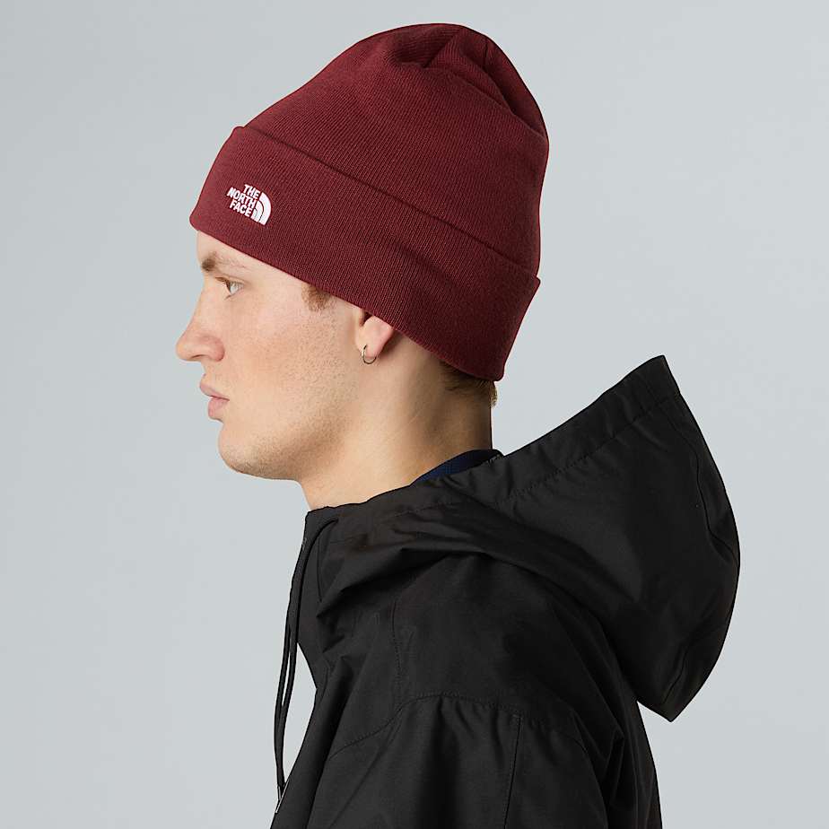 Norm Beanie