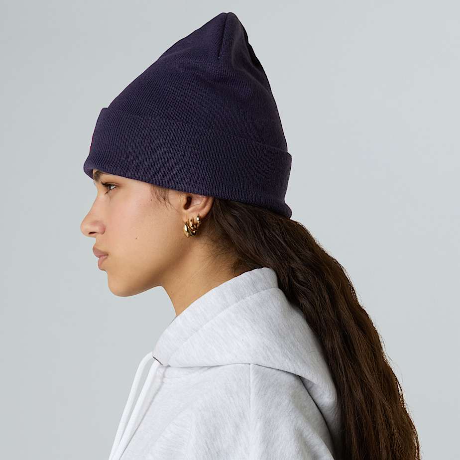 Beanie Red Box TNF ALT5