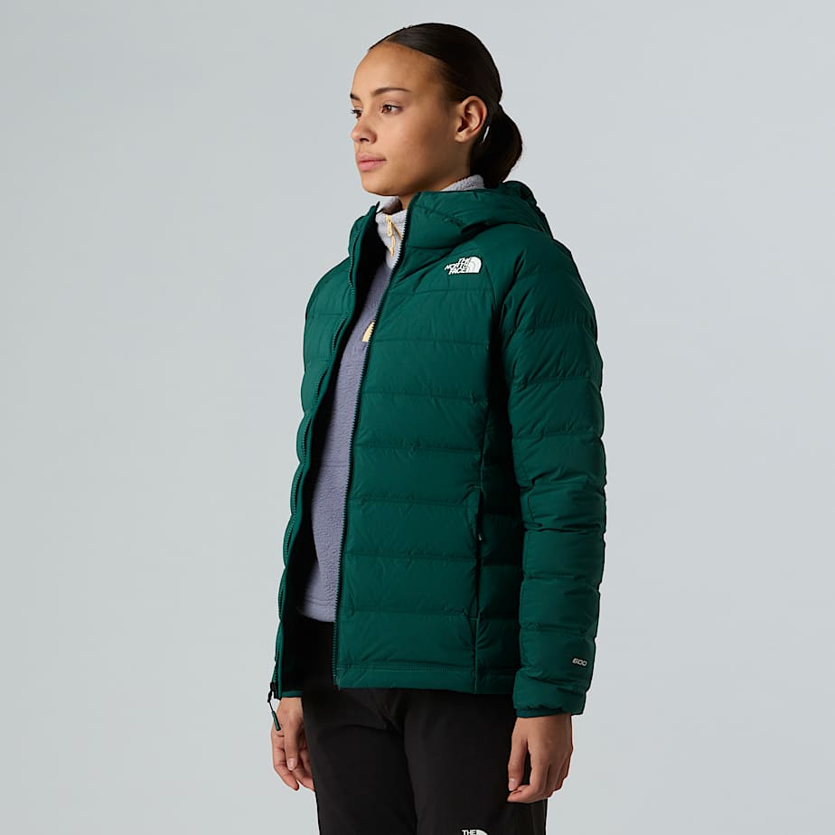 Abseil Stretch Down Hooded Jacket W TNF ALT3