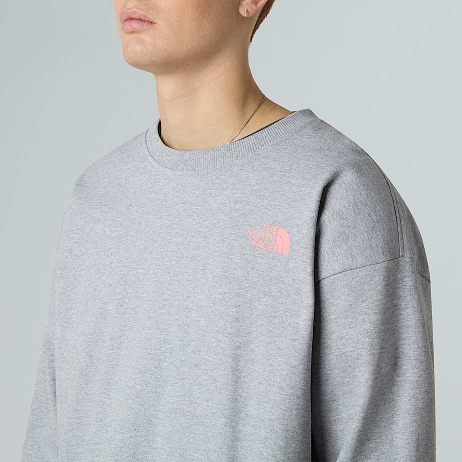 Expedition Celebration Oversized Sweatshirt Unisex TNF ALT6