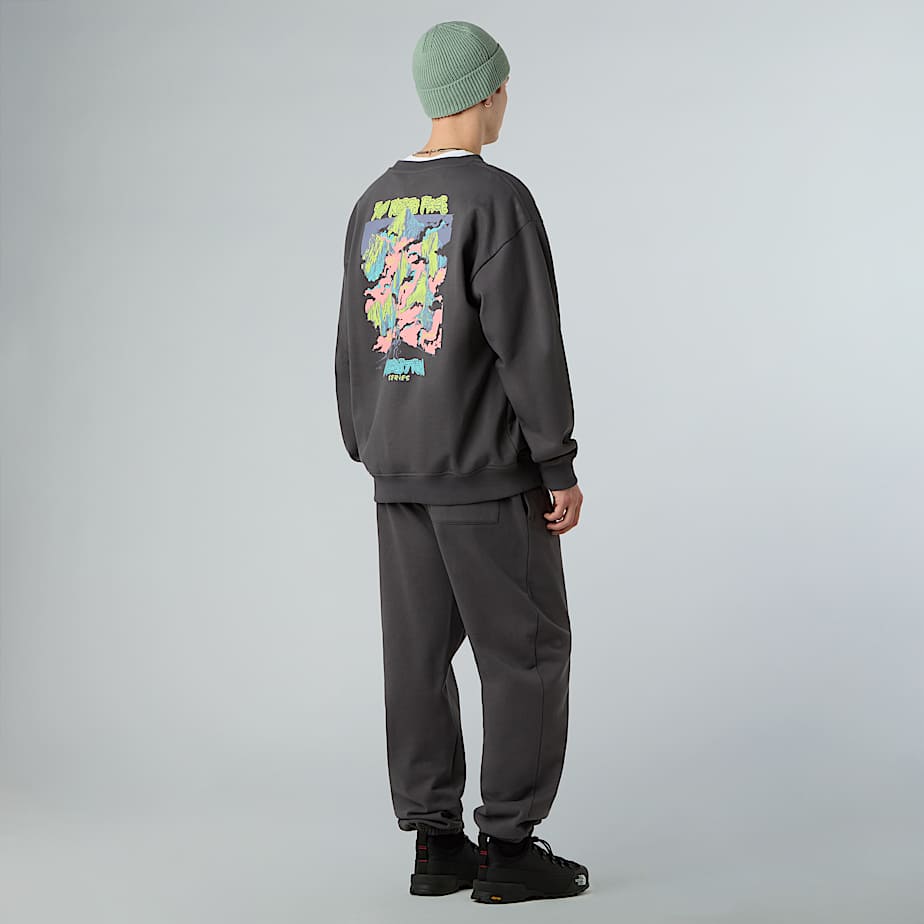 Unisex Expedition Celebration Oversized Sweatshirt TNF ALT4