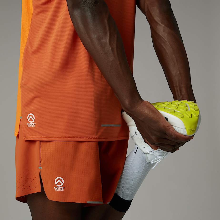 Mens Summit High Trail Run Tank Top TNF ALT6