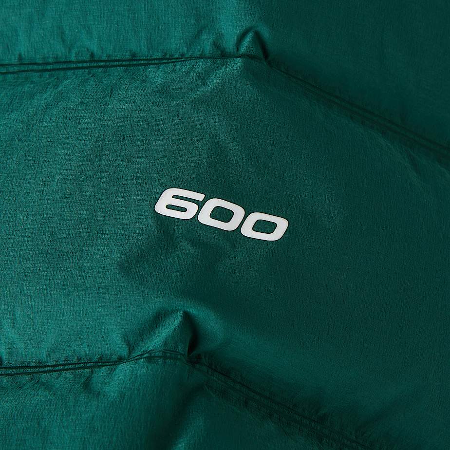 Abseil Stretch Down Hooded Jacket W TNF ALT18