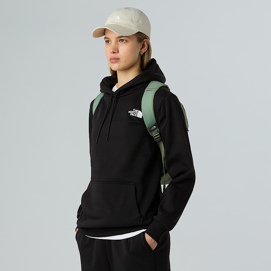 Borealisminirugzak TNF Slate MossBark Mist ALT6