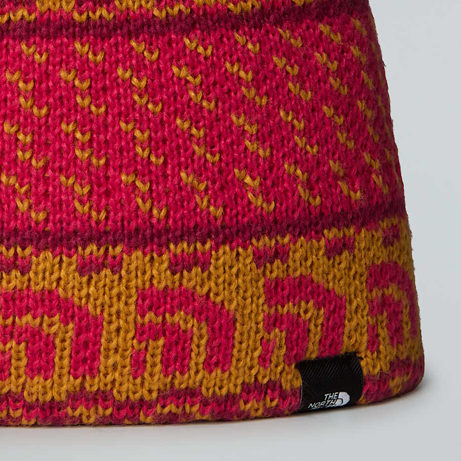 Cabin Ski Tuke Beanie Barn TNF ALT2