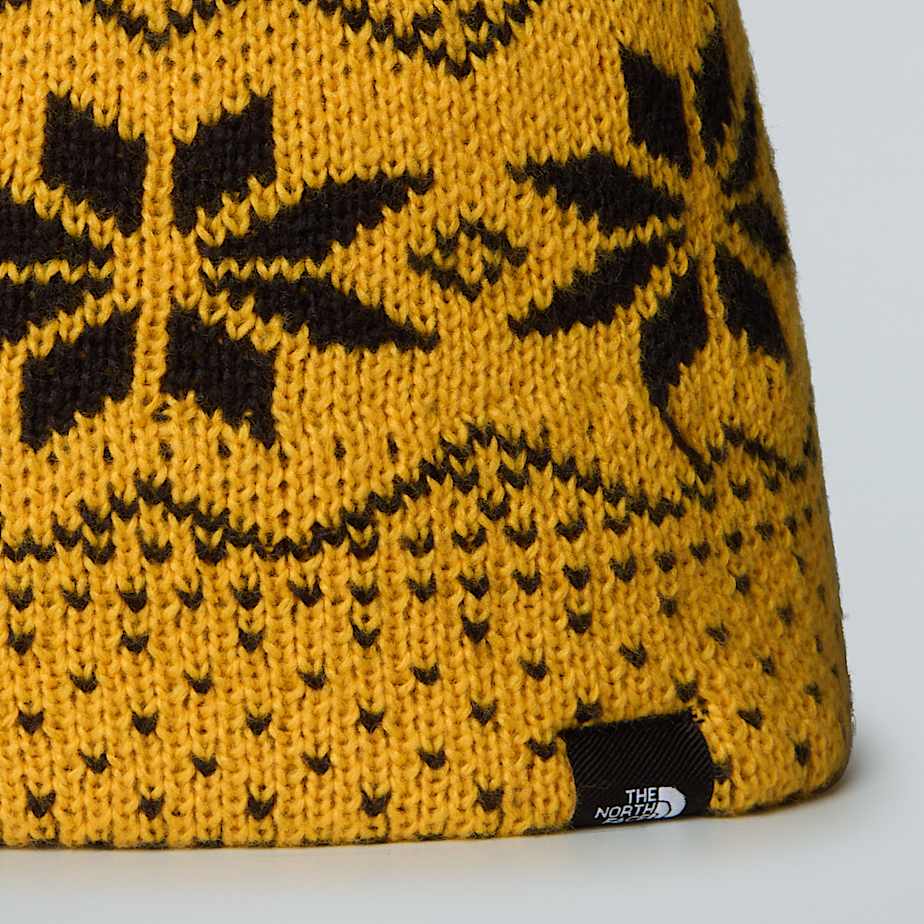 Cabin Ski Tuke Beanie fr Kinder TNF ALT2