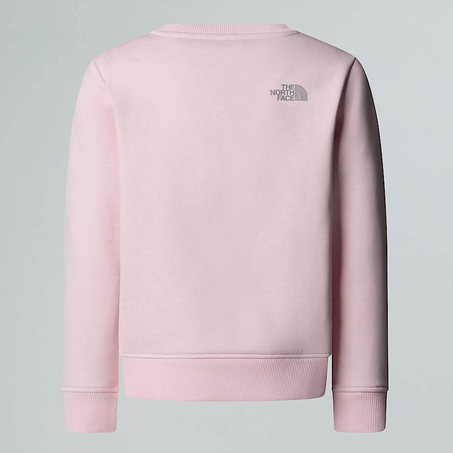 Reflective Logo Relaxed Sweatshirt Girl TNF ALT21