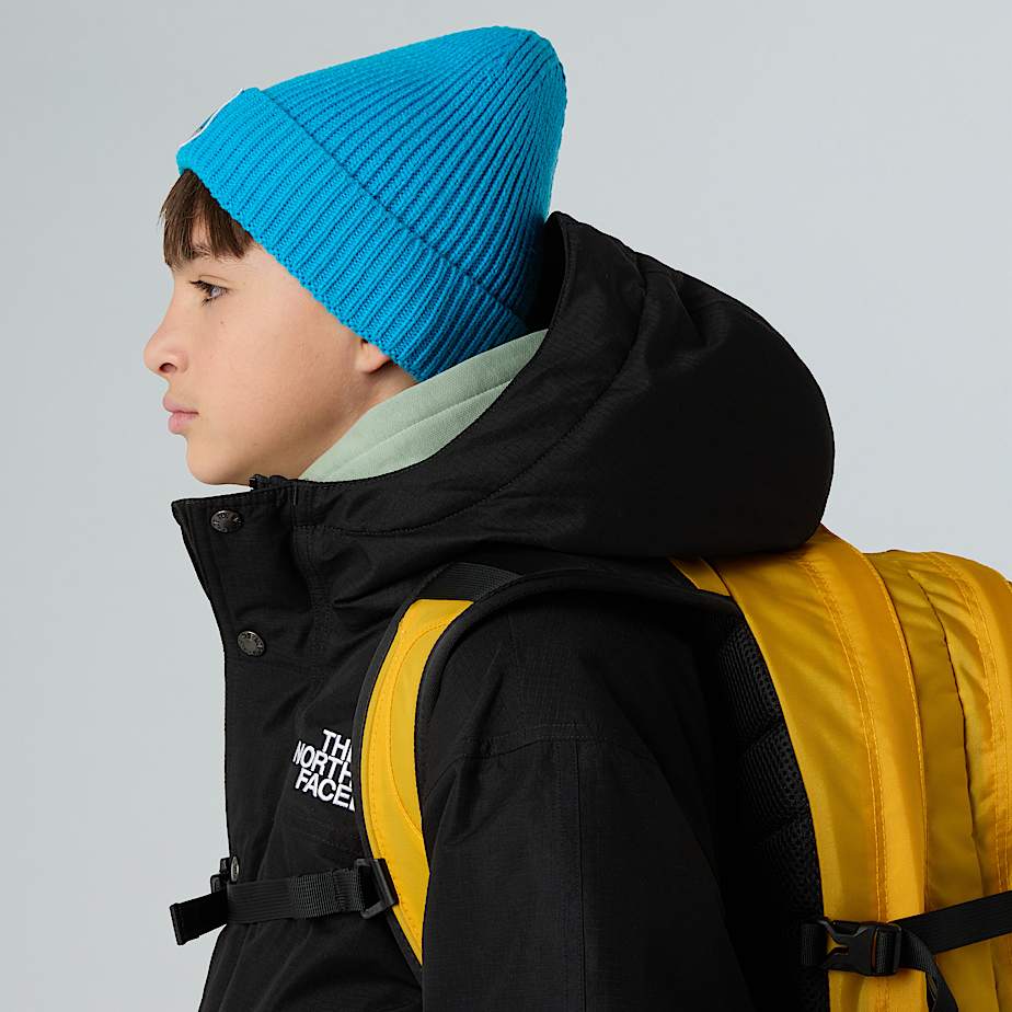 Kids' TNF Logo Box Cuffed Beanie