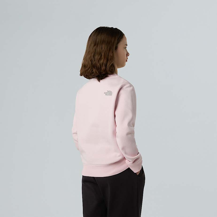 Reflective Logo Relaxed Sweatshirt Girl TNF ALT2