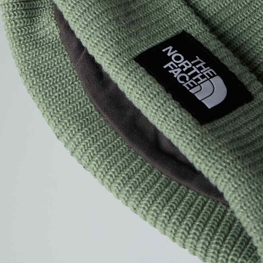 Bonnet Salty Lined TNF Slate Moss ALT3