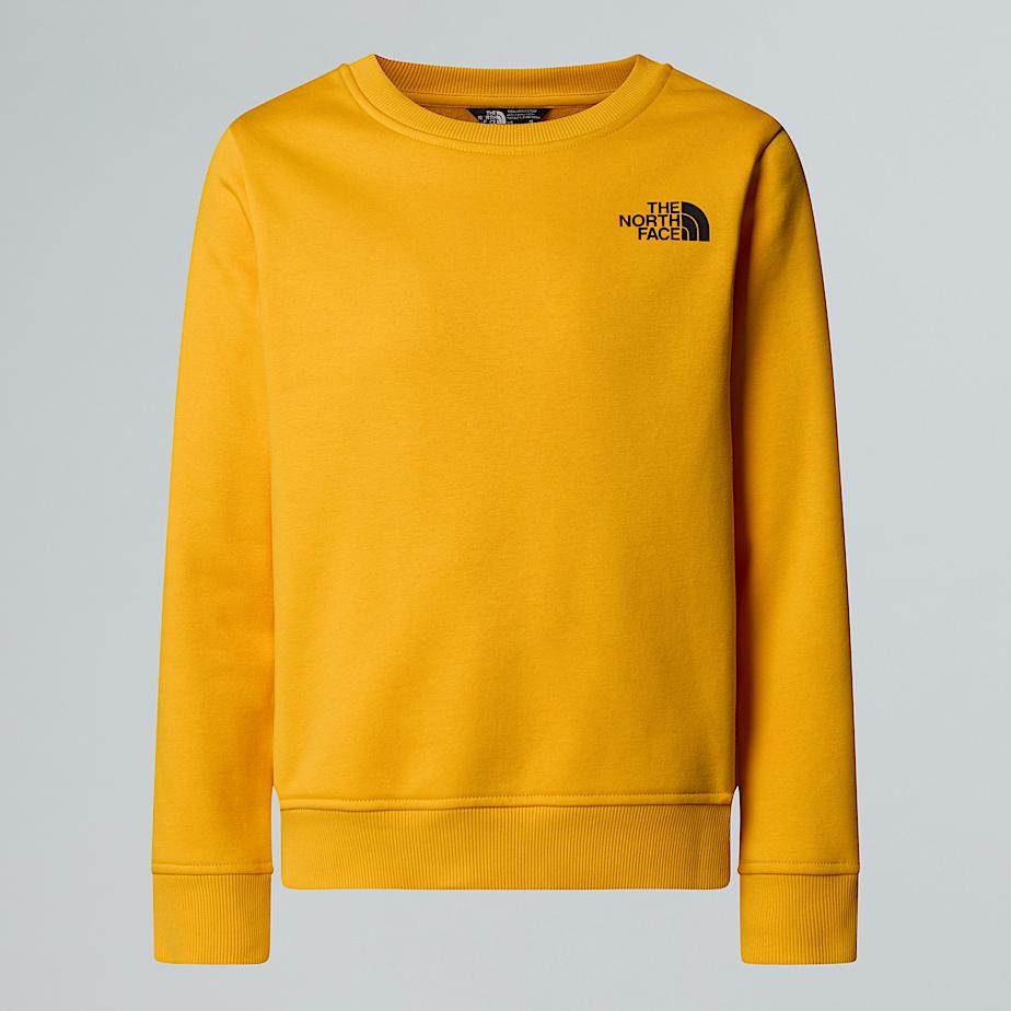 Teens NSE Box Sweatshirt TNF ALT20