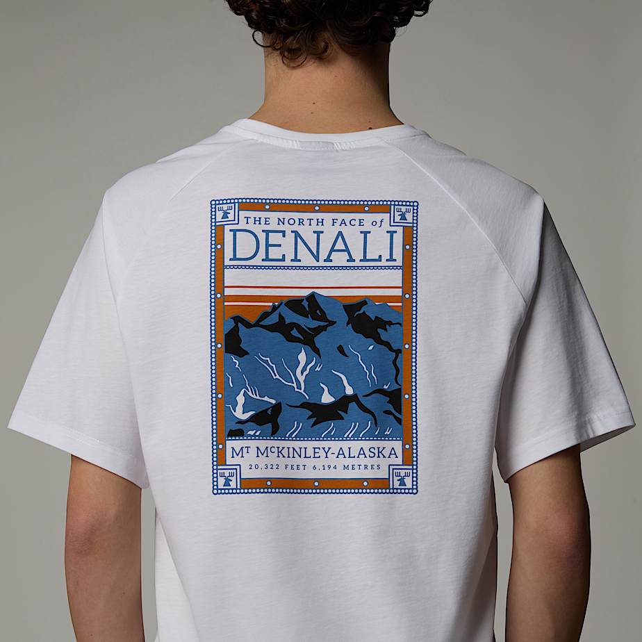 Mens North Faces TShirt TNF ALT6