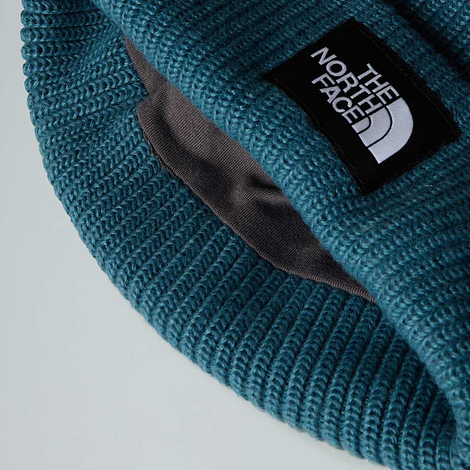 Bonnet Salty Lined TNF Space ALT3