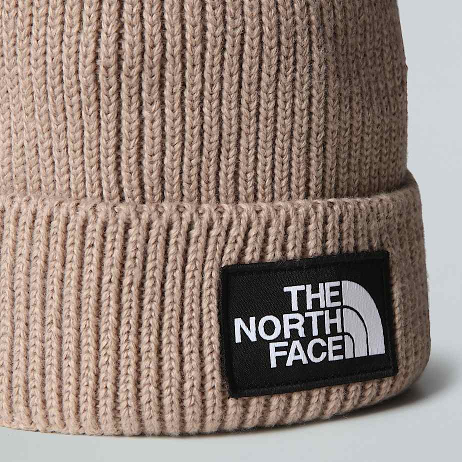 TNF Logo Box Beanie mit Umschlag TNF Mushroom Grey ALT2