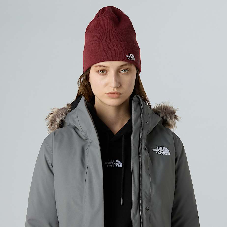 Bonnet Norm TNF Sumac ALT12