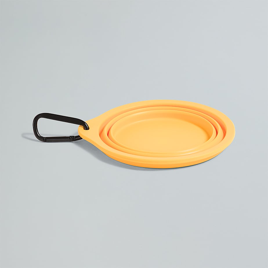 TNF Collapsible Pet Bowl TNF ALT2